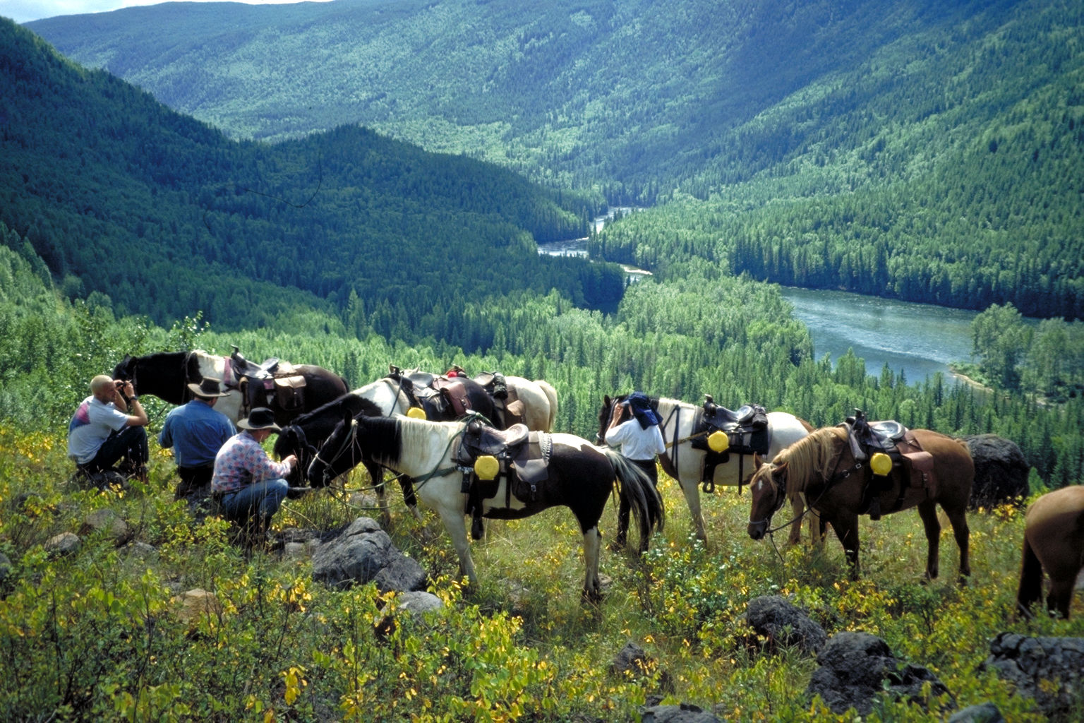 Wells Gray Guest Ranch Clearwater Exterior photo