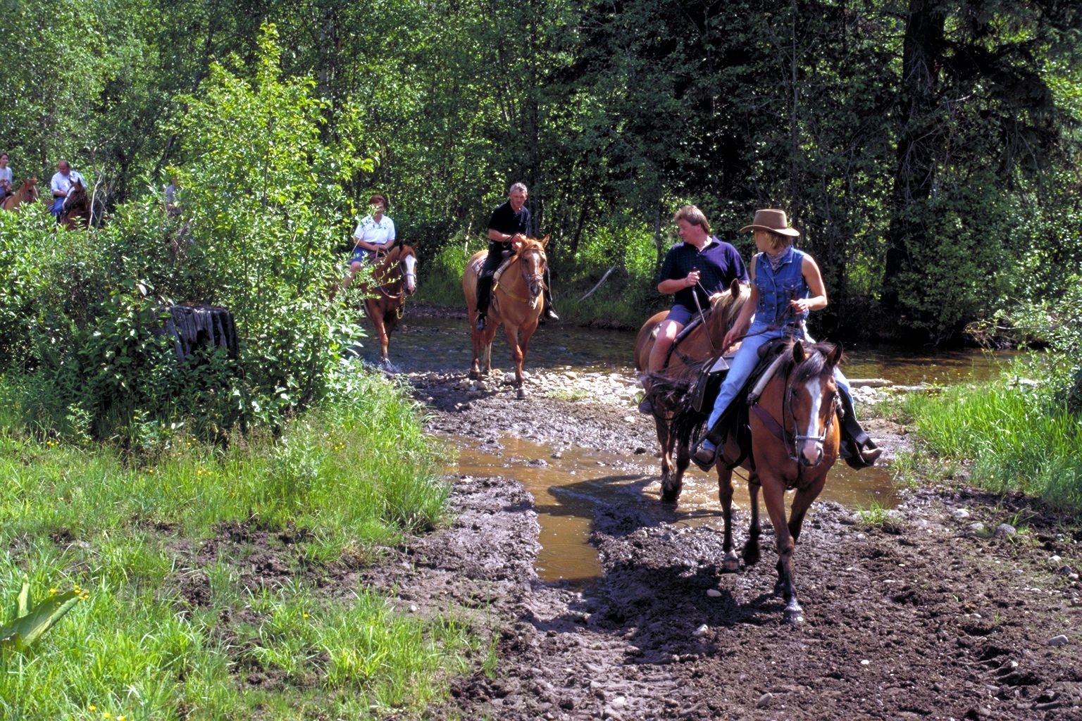 Wells Gray Guest Ranch Clearwater Exterior photo