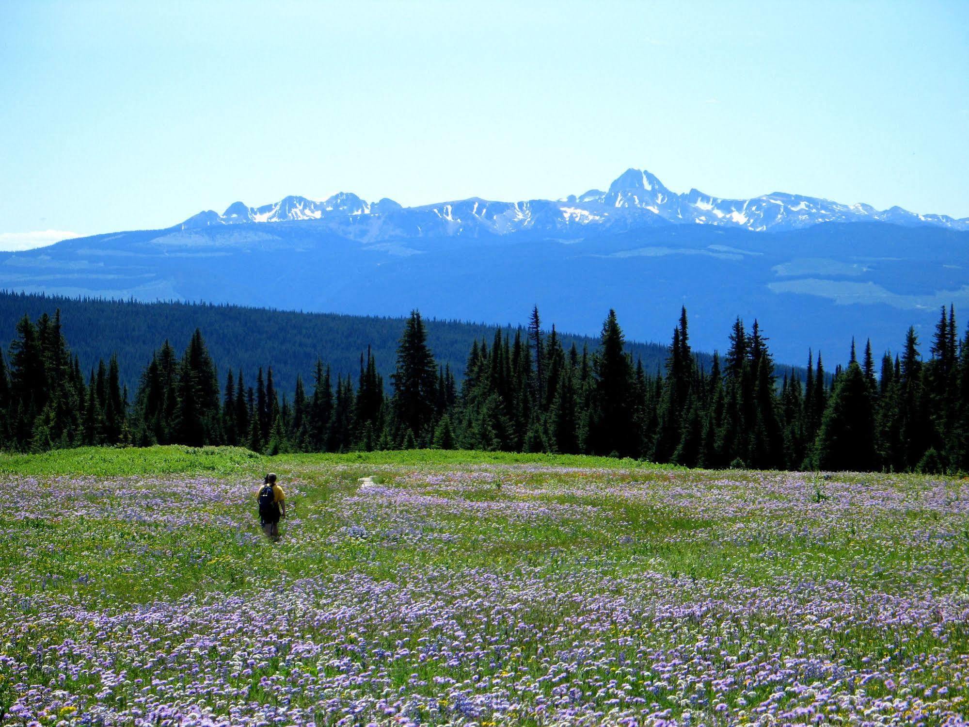 Wells Gray Guest Ranch Clearwater Exterior photo