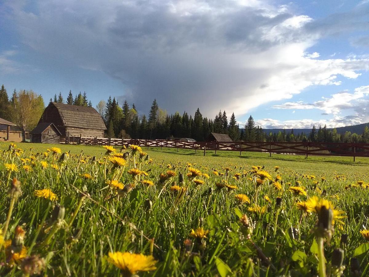 Wells Gray Guest Ranch Clearwater Exterior photo